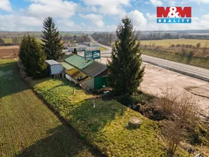 Prodej obchodního prostoru, Lochenice, 200 m2