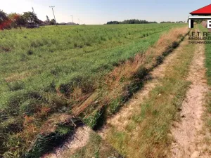 Prodej pozemku pro bydlení, Spálov, 1310 m2