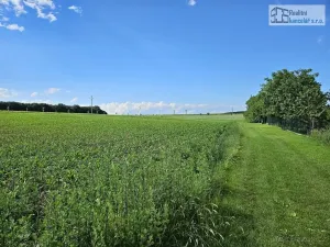 Prodej pozemku pro bydlení, Ostrovánky, 1500 m2