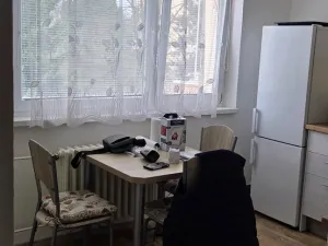 Pronájem bytu 1+1, Jihlava, Březinova, 32 m2