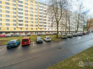 Prodej bytu 1+1, Sokolov, Švabinského, 38 m2