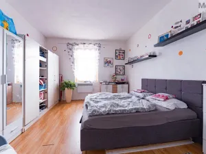 Prodej vícegeneračního domu, Luby, Chebská, 445 m2