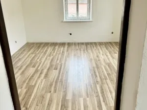 Prodej vícegeneračního domu, Luby, Chebská, 445 m2