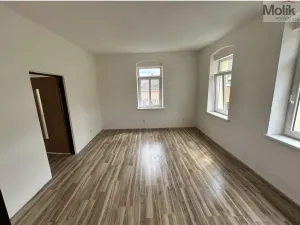 Prodej vícegeneračního domu, Luby, Chebská, 445 m2