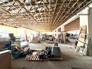 Prodej obchodního prostoru, Planá, 1200 m2