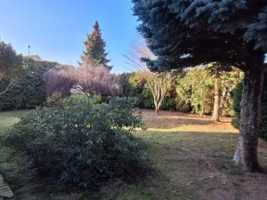 Pronájem bytu 2+1, Praha - Suchdol, Na mírách, 95 m2