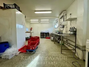 Prodej výrobních prostor, Brumovice, Hlavní, 60 m2