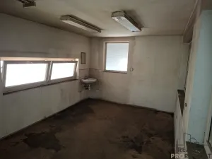 Pronájem skladu, Slaný, Netovická, 700 m2