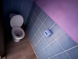 Prodej rodinného domu, Stará Paka, Sokolská, 245 m2