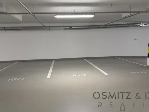 Pronájem garážového stání, Praha - Nusle, Závišova, 16129 m2