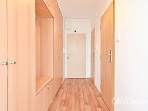 Prodej bytu 2+1, Praha - Břevnov, Patočkova, 51 m2