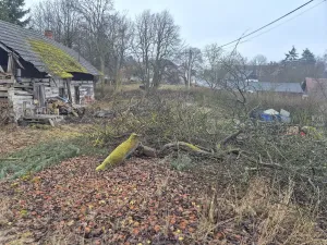 Prodej pozemku, Střevač, 651 m2