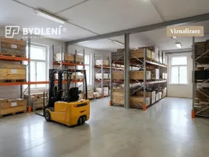 Prodej výrobních prostor, Malé Březno, 670 m2