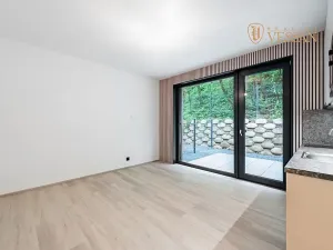 Prodej bytu 1+kk, Praha - Hlubočepy, Na Zlíchově, 25 m2