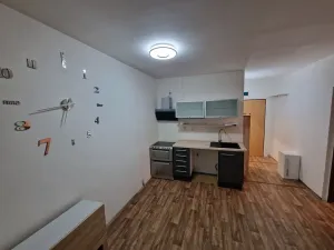 Prodej bytu 1+1, Cheb, Čapkova, 38 m2