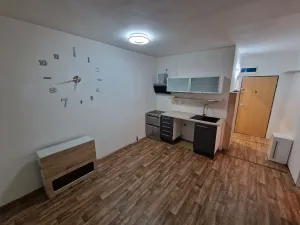 Prodej bytu 1+1, Cheb, Čapkova, 38 m2