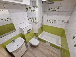 Prodej bytu 1+1, Cheb, Čapkova, 38 m2