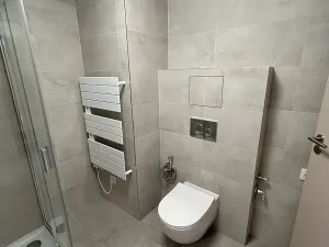 Pronájem bytu 1+kk, Písek, Pražská, 38 m2