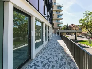 Pronájem obchodního prostoru, Praha - Nusle, Lomnického, 44 m2