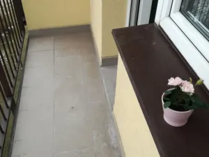 Pronájem bytu 1+1, Ostrava - Poruba, Maďarská, 39 m2