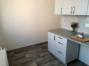 Pronájem bytu 2+1, Ostrava - Hrabůvka, Plzeňská, 55 m2