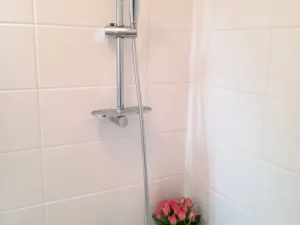 Pronájem bytu 2+1, Ostrava - Hrabůvka, Plzeňská, 55 m2