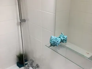 Pronájem bytu 2+1, Ostrava - Dubina, Františka Formana, 44 m2