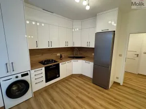 Pronájem bytu 2+1, Most, Čsl. armády, 54 m2