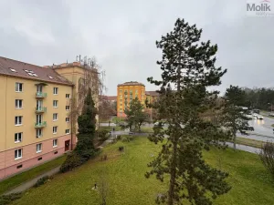 Pronájem bytu 2+1, Most, Čsl. armády, 54 m2