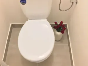 Pronájem bytu 2+1, Ostrava - Hrabůvka, Plzeňská, 54 m2