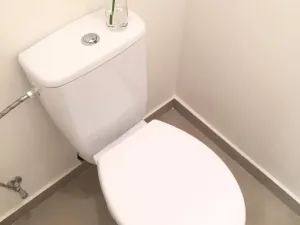 Pronájem bytu 2+1, Ostrava - Dubina, Jana Maluchy, 44 m2