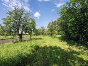 Pronájem zahrady, Brno, Zelná, 3109 m2