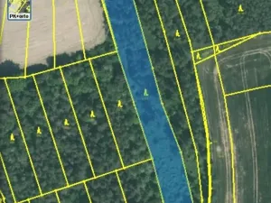 Dražba lesa, Blížejov, 4624 m2