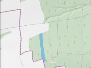 Dražba lesa, Blížejov, 4624 m2