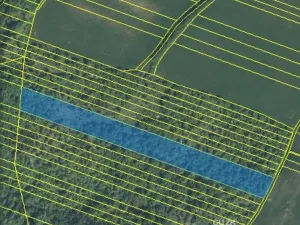 Dražba lesa, Šarovy, 11619 m2