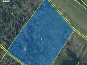 Prodej lesa, Kropáčova Vrutice, 15167 m2