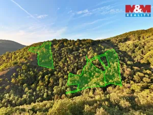 Prodej lesa, Ústí nad Labem - Severní Terasa, 23067 m2