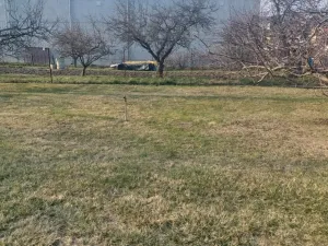 Prodej zahrady, Olomouc, Lidická, 1080 m2