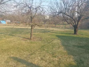 Prodej zahrady, Olomouc, Lidická, 1080 m2