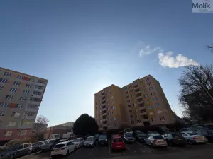 Prodej bytu 4+1, Louny, Kpt. Nálepky, 81 m2