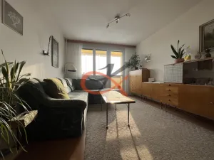 Prodej bytu 2+1, Nový Jičín, Dlouhá, 56 m2