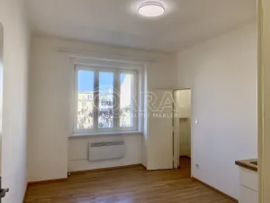 Pronájem bytu 1+kk, Praha - Nusle, V Horkách, 17 m2