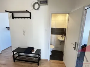 Pronájem bytu 3+1, Plzeň - Doubravka, Na Dlouhých, 61 m2