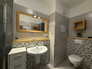 Prodej bytu 1+kk, Lipno nad Vltavou, 30 m2