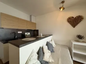 Prodej bytu 1+kk, Lipno nad Vltavou, 30 m2