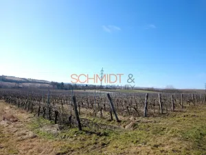 Prodej sadu/vinice, Sedlec, 11641 m2