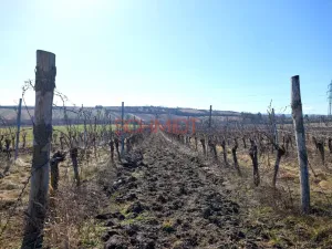 Prodej sadu/vinice, Sedlec, 11641 m2