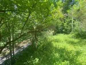 Dražba pozemku, Malá Bystřice, 933 m2