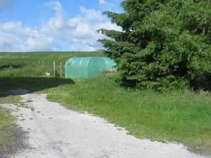 Dražba zahrady, Otročín, 265 m2