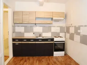 Prodej - jiné, Praha - Žižkov, Žerotínova, 53 m2